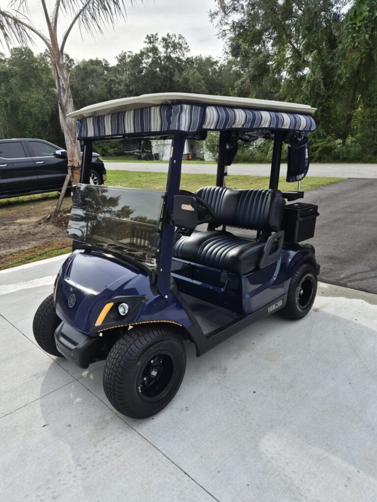 2018 Yamaha Drive2