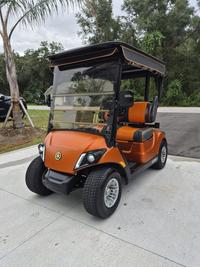 2020 Yamaha Drive2